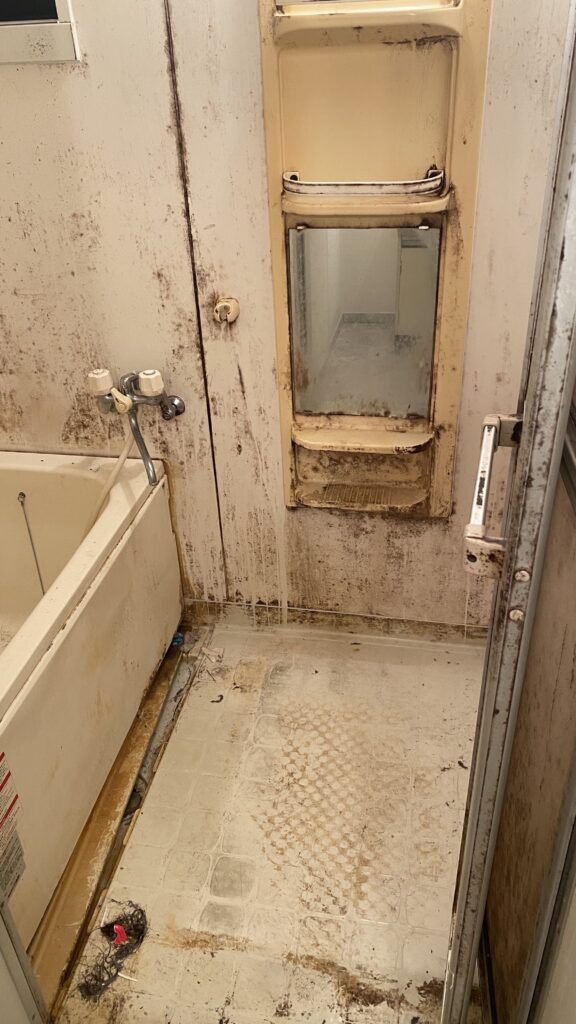 入居前の浴室の写真